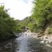 ウェルキャンプ西丹沢キャンプ場の口コミ！釣り堀・川遊びができる！温泉もあり